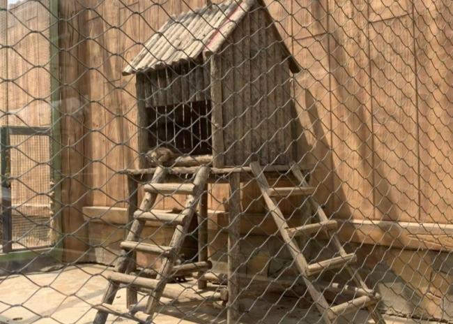 Installed stainless steel wire rope mesh in architectural application