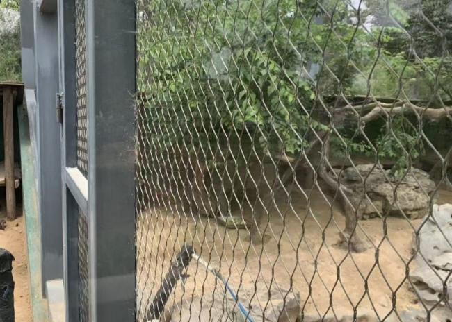Stainless steel wire rope mesh close-up showing weave pattern