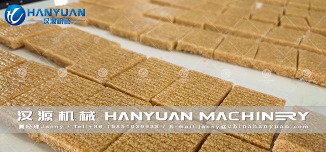 Finished sesame candy bar samples produced by the machine