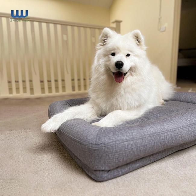 pet bed