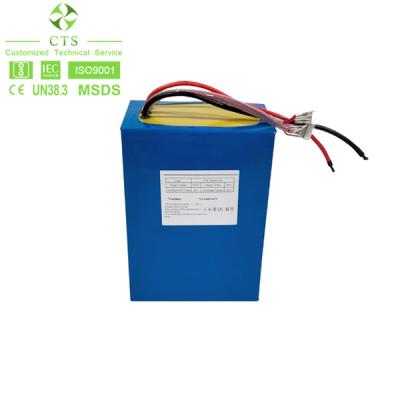 China Rechargeable Citycoco Batterie Electric Bicycle Bike Li Ion Lifepo4 Battery 48v 40Ah Ebike Lithium Battery Pack for sale