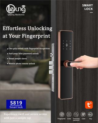 China 6068 Mortise Fingerprint Doorlock Tuya TTlock Wifi APP Optional for sale