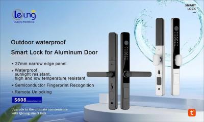China IP65 Waterproof Fingerprint Lock Black Silver Fingerprint Home Door Lock for sale