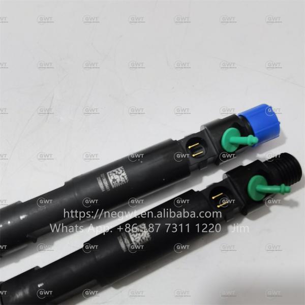 Quality 28229876 DELPHI Diesel Fuel Injectors Common Rail Injector 320-06827 for JCB for sale