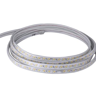 China 220V 5730 white warm white blue purple Flexible strip lighting led Double row 120chips/m LED strip lights/led light stri for sale