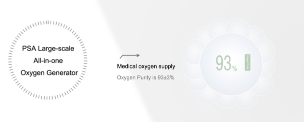 1000V Beacon Medaes Oxygen Generator System VSD Series Medical 6m3/H~30m3/H 1