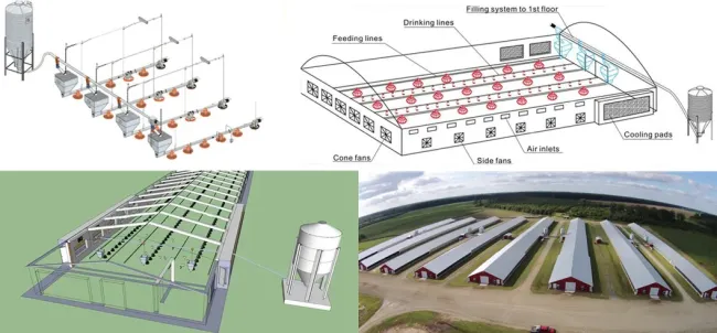 Chicken Poultry Farm Equipment for Broiler House in Philippines with Steel Structure House