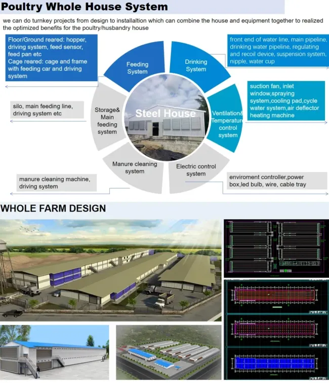 Chicken Poultry Farm Equipment for Broiler House in Philippines with Steel Structure House