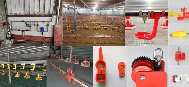 Chicken Poultry Farm Equipment for Broiler House in Philippines with Steel Structure House