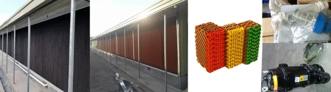 Chicken Poultry Farm Equipment for Broiler House in Philippines with Steel Structure House