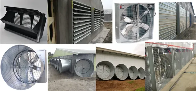Chicken Poultry Farm Equipment for Broiler House in Philippines with Steel Structure House