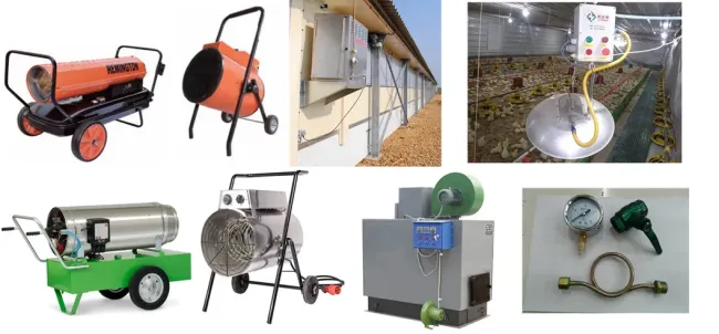 Chicken Poultry Farm Equipment for Broiler House in Philippines with Steel Structure House