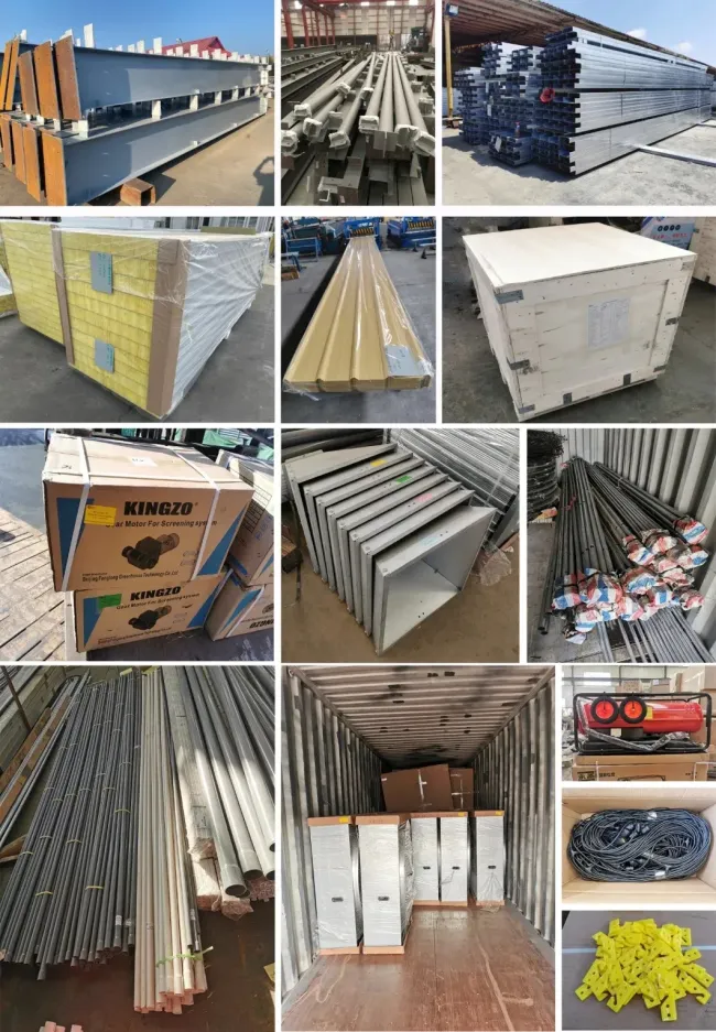 Chicken Poultry Farm Equipment for Broiler House in Philippines with Steel Structure House