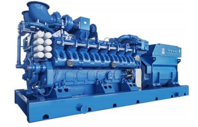 China Gas Power Generator With Single / Three Phase And 50Hz Frequency Application for sale