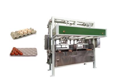 Chine Machine moulée de papier écologique pour faire le fruit Tray Coffee Cup Tray de carton d'oeufs à vendre