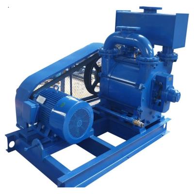 China Electric Liquid Ring Water Vacuum Pump for sale