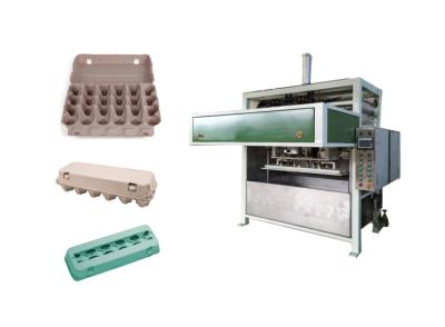 China Egg Carton Production Line With Single - Layer Drying Line And Hot Press Machine for sale