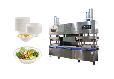 China Pulp Molding Disposable Restaurant Food Packaging Machine for sale