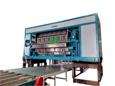 China PLC Control Egg Tray Forming Machine With Multi - Drying Line for sale
