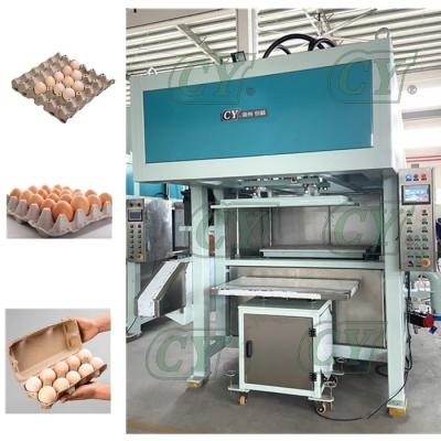 China Automatic egg tray machine egg carton machine pulp molded production line for sale