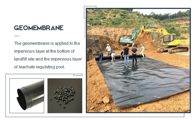 Factory Price 0.2mm-2.5mm ASTM GM13 Anti-Seepage Waterproof Impermeable HDPE Geomembrane for Aquaculture Dam Landfill Tunnel Mining Biogas Fish Farm