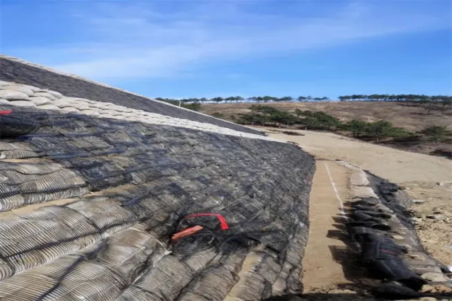 Geo Grid Ground Grid Plastic Uniaxial Polyester Geogrid Price Uniaxial Gravle Grid Ground for Driveway Basement