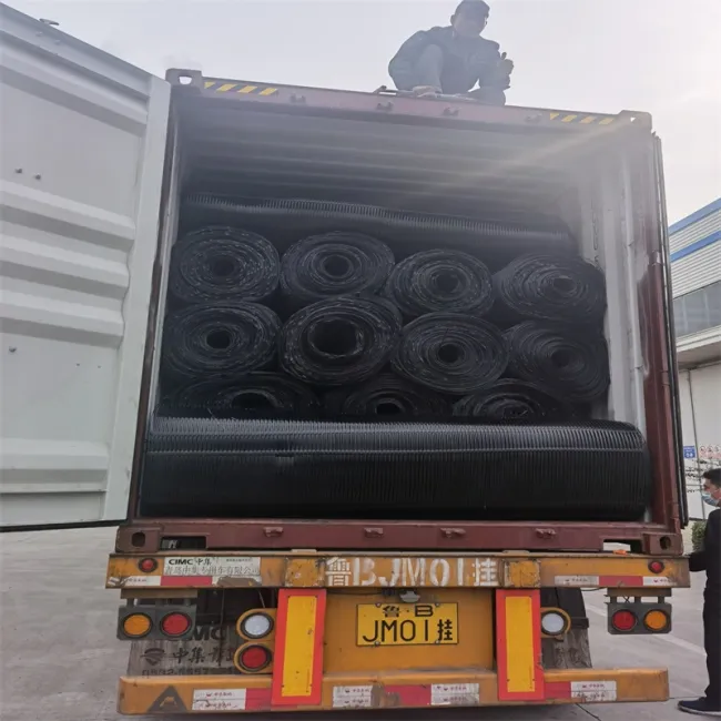 Geo Grid Ground Grid Plastic Uniaxial Polyester Geogrid Price Uniaxial Gravle Grid Ground for Driveway Basement