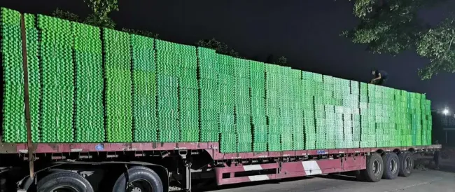 HDPE Plastic Grass Grid for Grass Pavement, Parking Lots, Slope Erosion Control, Soil Stabilization, Gravel Pavers and Landscaping