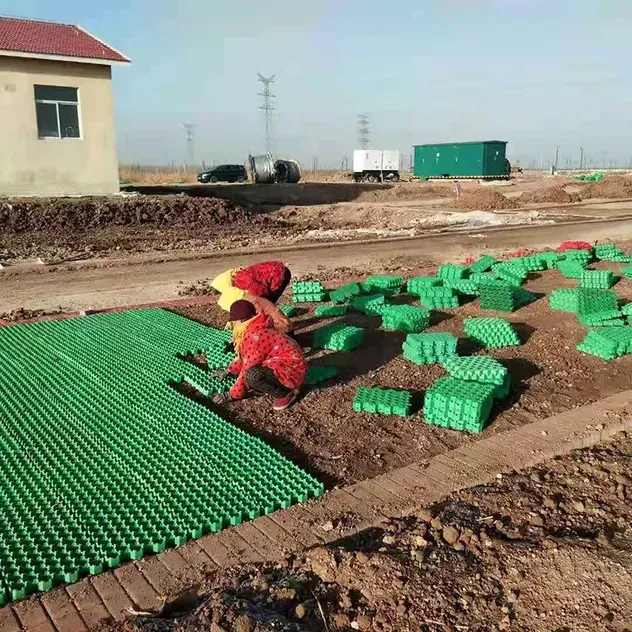 HDPE Plastic Grass Grid for Grass Pavement, Parking Lots, Slope Erosion Control, Soil Stabilization, Gravel Pavers and Landscaping