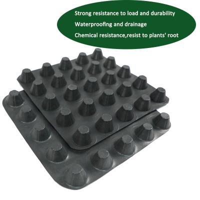 China 30mm HDPE Dimpled Drainage Membrane Green Roof Drainage Board for sale