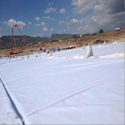 China 300GSM Geotextile Polypropylene / Polyester Material Non Woven Needle Punched à venda