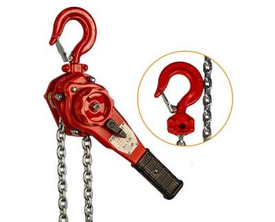 China 1Ton Chain Fall Lever Block Chain Industrial Lifting JTVGP for sale
