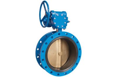 China Concentric Butterfly Valve for sale
