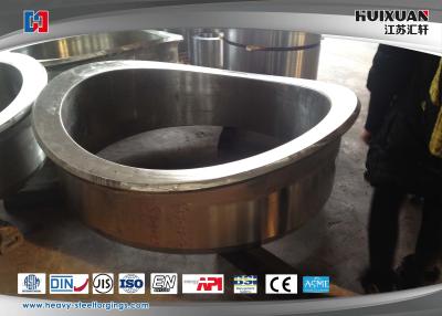 China Large Scale Forging Stainless Steel Weld Neck Flanges Rough Machining for sale