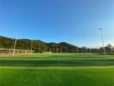 China Técnica de tejido resistente a las enfermedades del campo de fútbol artificial de 50 mm de altura de pila con gránulos de caucho en venta