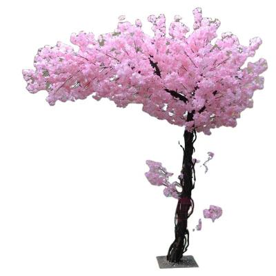 China Altura estabilizada UV artificial de Cherry Blossom Trees 140cm da fibra de vidro impermeável à venda