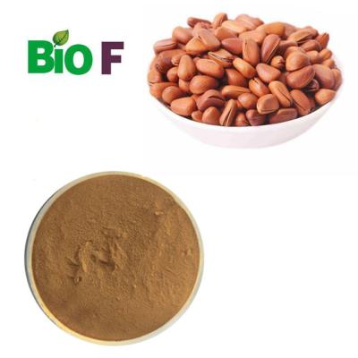 China Ginsenoside Natural Nutrition Supplements 10ppm Dietary Pine Nut Extract Linoleic Acid Ingredient for sale