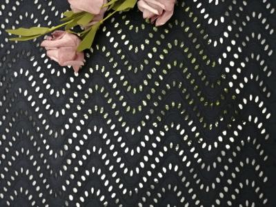 Chine Noirs brodés fournissent des oeillets le tissu 100% de dentelle de coton de tissu pour des robes à vendre