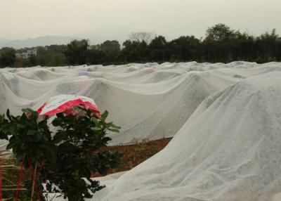 China Distribución no tejida de tierra de la humedad del suelo de la tela de la agricultura de los PP de la cubierta en venta