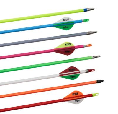 China Fluorescent Red/Orange/Green/Blue/White/Gray/pink Color Carbon arrows in Spine 400/50/600/700/800/1000 for sale