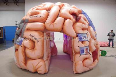China Exposiciones médicas modelo de las conferencias de Tent Medical Inflatables del cerebro inflable - cerebro mega en venta