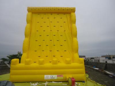 China Funny Giant Inflatable Sports Games / Climbing Wall For Amusement Park Equipment For Family for sale