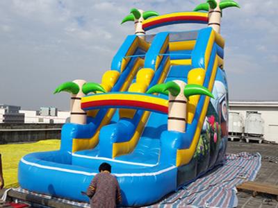 China Kids Inflatable Water Slide for sale