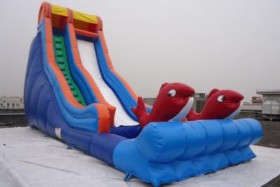 China Single Lane Fish Decorated Blow Up Water Slide PVC Swimming Pool for Sale for sale