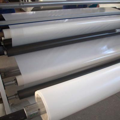 China Rolo de filme claro 1400mm da transferência térmica das sapatas dos esportes 1500mm personalizado com papel da liberação à venda