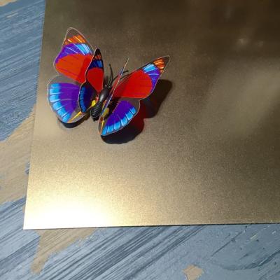 China High Quality Sand Blasting Etching Finish Cold Rolled Decorative Stainless Steel Sheet for sale