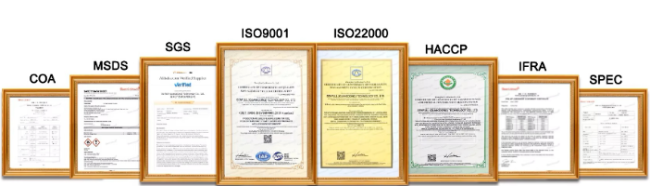 Manufacturing excellence standards