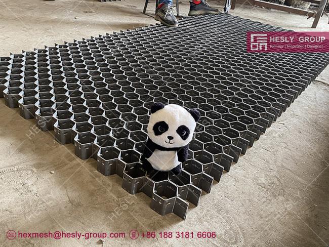 Cat Crackers Hexmesh