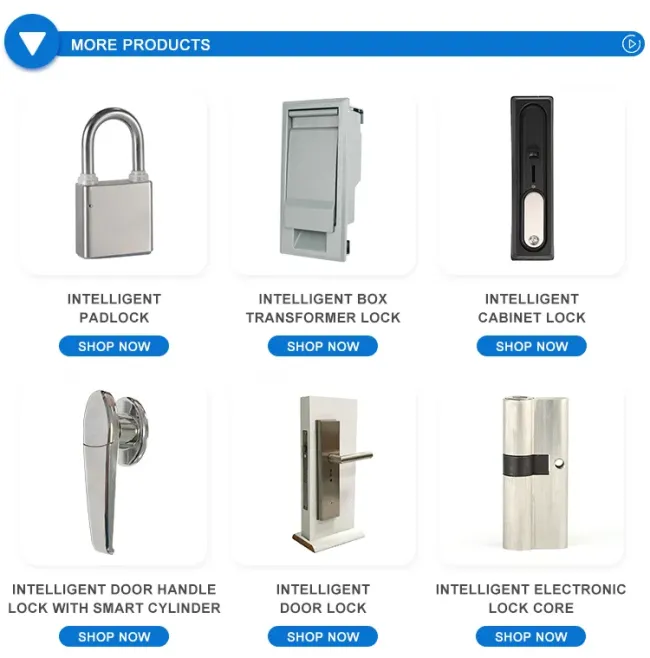 Factory Price Fire-Resistant Lock Cores for Doors