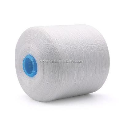 China 100% Polyester Yarn Free Sample Without Freight And OEM/ODM Support for sale